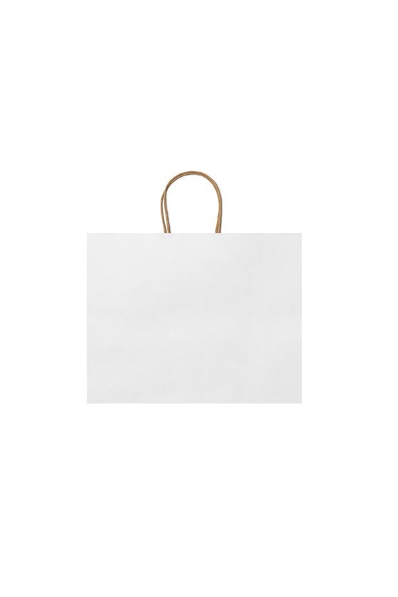 Paper bag-MAPLE